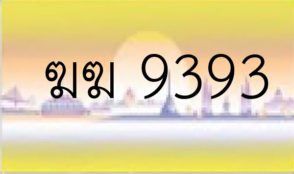 ฆฆ 9393